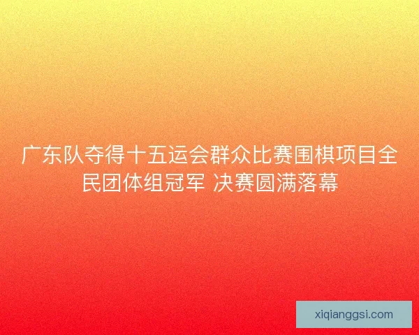 广东队夺得十五运会群众比赛围棋项目全民团体组冠军 决赛圆满落幕